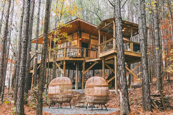 Amenities of a Treehouse Hotel