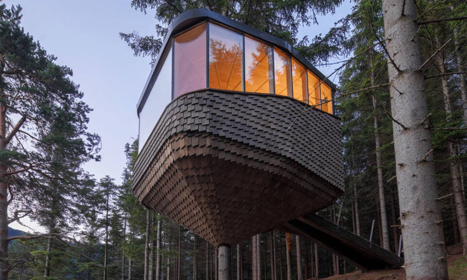 Luxury Amongst the Treetops