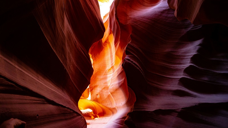 Whispers in the Walls: Wildlife Encounters in St. George's Slot Canyons